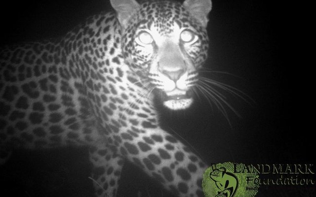 Gansbaai ABI bly bedrywig_1